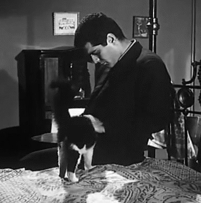 cadwallen:Omar Sharif  (Fi baitina rajul / A Man in Our House) (1961) في بيتنا رجل - عمر الشريف
