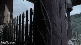 3b8ce621e67e75c1d7c3c265cd5809835df05562.gifv