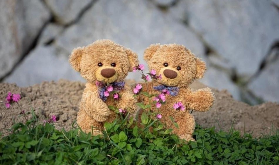 My teddy bear - Page 33 A8a6ea62a942fd925a49cb77b587969f441740cc