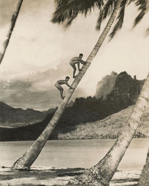 newloverofbeauty:Papeete, Tahiti  (1920s) This is the episode where the Skipper, Mr. and Mrs. Howell