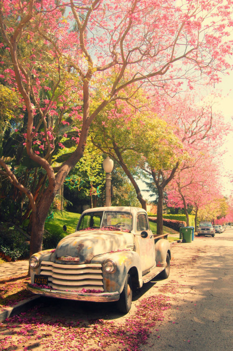aerienette:  ☽◯☾