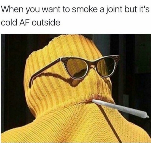 Are you a stoner?