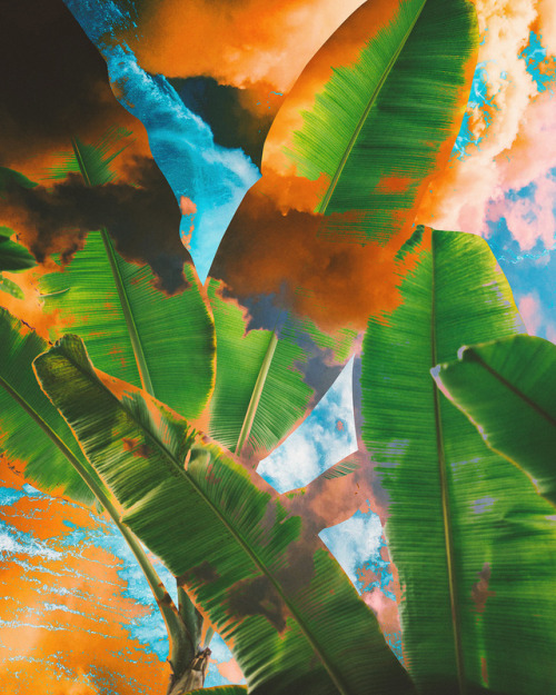 dorianlegret: MalpBy Dorian Legret : INSTAGRAM &amp; FACEBOOKBuy : SOCIETY6 / CURIOOS / LIVEHERO