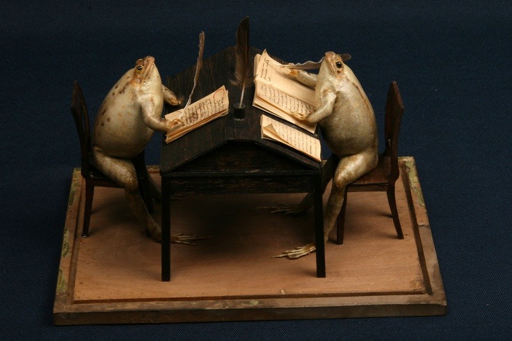 The Frog Museum in Switzerland originated in the 1850s when an eccentric Napoleonic