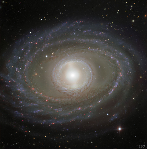 Ribbons and Pearls of Spiral Galaxy NGC 1398 by European Southern Observatory