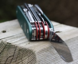 realworldedc:  (Source: Spyh007, via EDC Forums) 