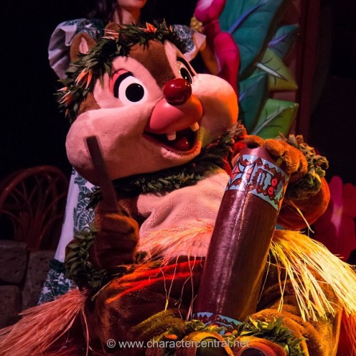 charactercentral:Dale gets into the spirit of Aloha at Mickey and Minnie’s Polynesian Paradise. #dis