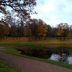 #Autumn #sonata 9 and .. last) / #Gatchina #imperial #park #photowalk #Oktober #2013 #Russia / #landscape #colors #colours #reflections #рукабойцаколотьустала #Россия #Гатчина #photorussia #photorussia_spb