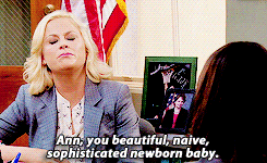 notabadday:  NOW LEAVING PAWNEE: Goodbye, Parks and Recreation  [8/8] EIGHT LINES→ Compliments for Ann  