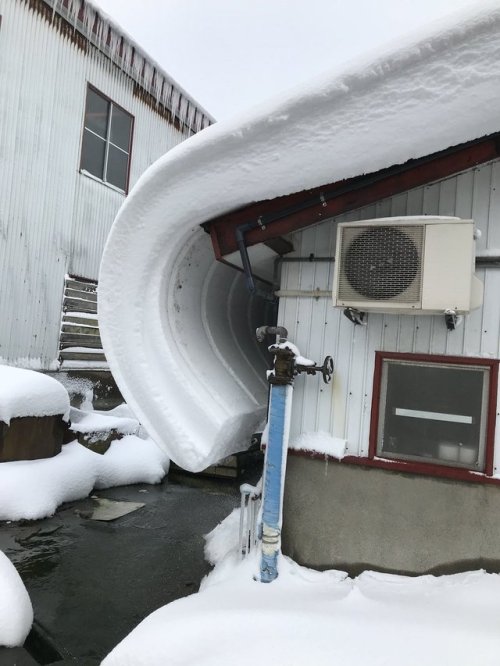 nakanotakeko: over-sleep: 屋根の雪って本気出すとここまでなるんやな。 新潟県小千谷市（ ひらっちさんのツイート ） そのまま丸めてロールケーキにしたい