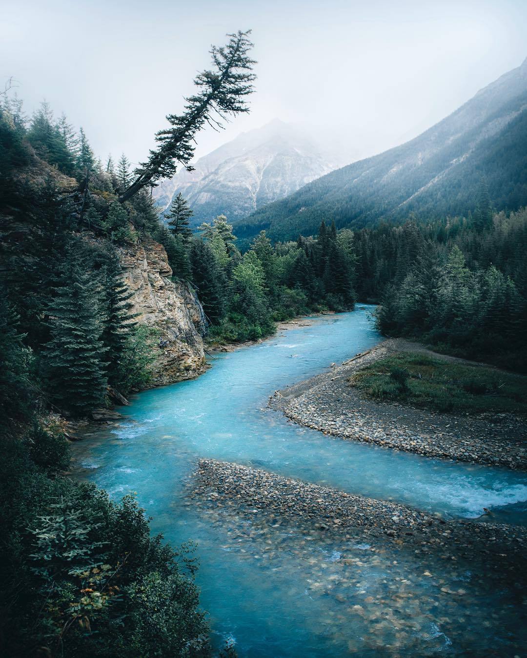 quiet-nymph:    Photography by Martina Gebarovska 🇨🇿   