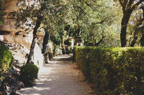 1509; les jardins de marqueyssac II