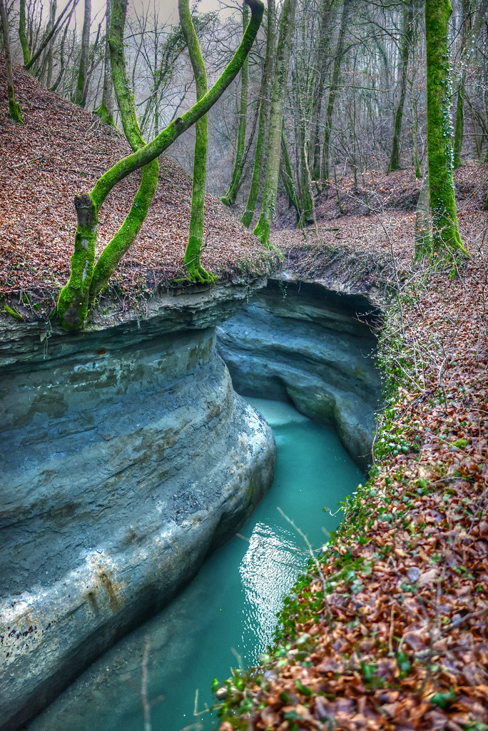 chvmeleon:  Roger Moretti (Haute Savoie, France) 