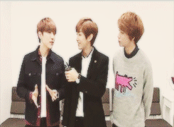 tienyeol:  x 