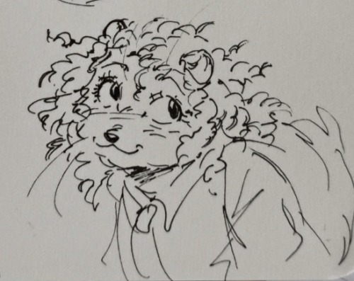 Some Traditional Sketches I Did During A Boring Lecture!! And Of Course It's More Furries. The Idea For