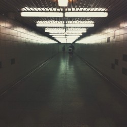 nocturhne:  eglinton stn. 