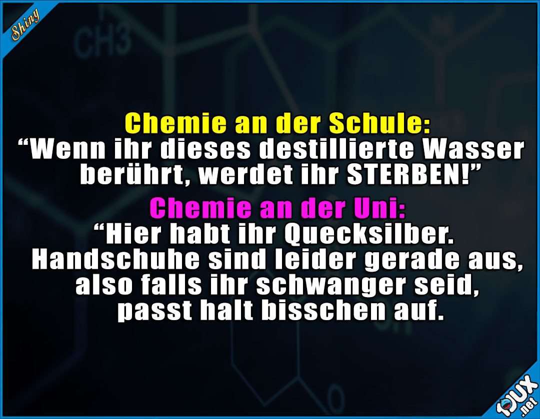 Lustige Sprüche — Schule vs. Uni 👀😂