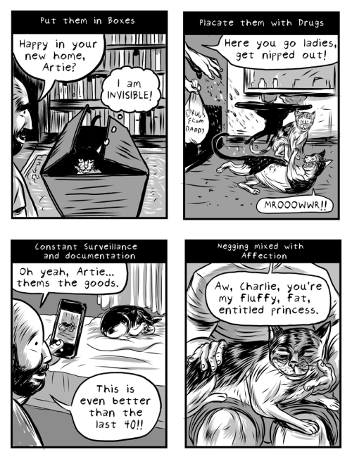 Bad Dog!!/Good Kitty! is a double sided flip comic collaboration between Isabella Rotman and Mi