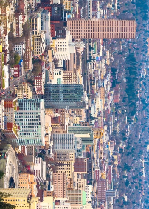 bobcronkphotography:  This Is Downtown Portland  I love living here