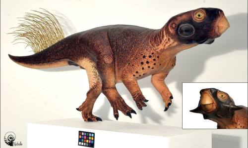 The most accurate dinosaur recreation to dateA superb and complete fossil from the Jehol Lagerstätte