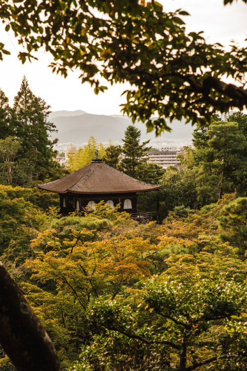 Thursday 21st September 2017. 17:00 Kyoto Japan.Autumn is definitely on it’s way in Kyoto. The tempe