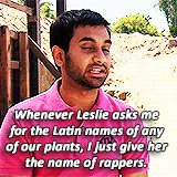 leslie-knopes:  top 20 parks characters (as voted by our followers) 9. Tom HaverfordOh,
