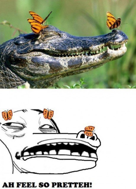 9gag:  Feeling pretteeeeeh