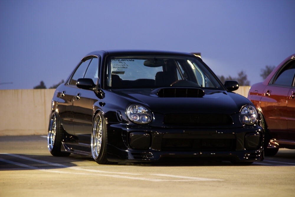 fuckyeahhellaflush:   