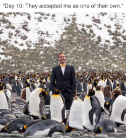 tastefullyoffensive:  (via kidzior)