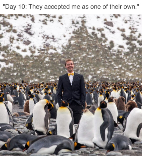 tastefullyoffensive:  (via kidzior)