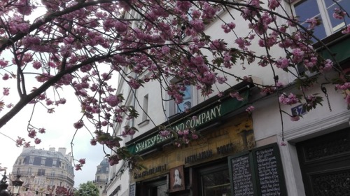 Shakespeare and Company37 Rue de la Bûcherie, Paris
