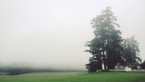 englishsnow:   Tyler Forest-Hauser 
