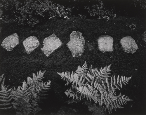 thephotoregistry:  Stepping Stones Leading to the Chokatai, Katsura Palace, 1954Yasuhiro Ishimoto