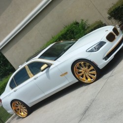 blackartschool:  myconfettitrail:  blackartschool:  hotcarstv:  @playa_kell on them gold #forgis!! #bmw #750 #forgiato #allgoldeverything #hotcarstv #teamhotcars  Dream car BMW 750 I want the same gold touches just all black or red.   Black would be