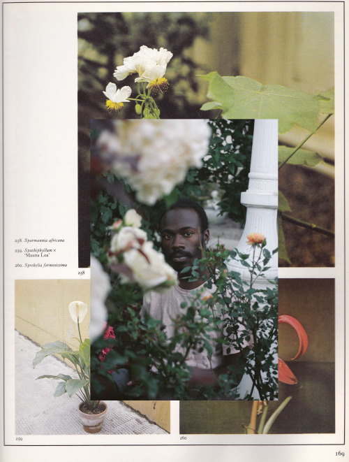 jamesyouth:  The Man Who Loved Flowers x Scans from “The ABC of Indoor Plants”By James Stanciell
