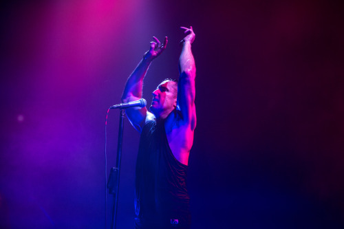 Nine Inch Nails live, February/March 2014 in Tokyo, Sydney, and Melbourne. On tour this spring in Eu