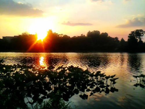 changingglater:  Photographs taken at a lake in Oaklyn, New Jersey.  Model: Chelsea Francis Rettberg (my sister)