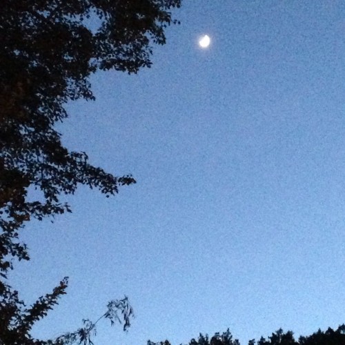 Moon over #SML #merica