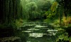 XXX etherea1ity:Monet’s Garden, Giverny, photo