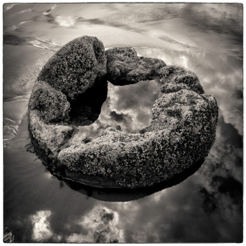 tomhoganphotographer:Skyholder.  Moeraki, NZAt Boulder Beach… Cheers!