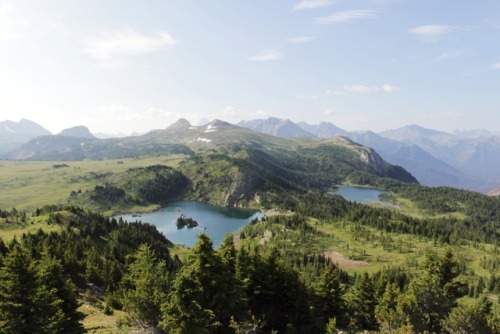 matchbox-mouse:Sunshine Meadows at the top of the morning. Literally breathless. It was too early fo