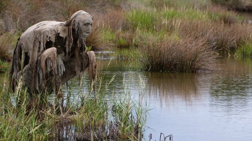 womansart:Swamp creatures in a French nature reserve. Sculptor Sophie Prestigiacomo (https://m.faceb