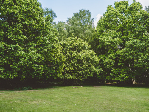 Epping Forest, Essex, England