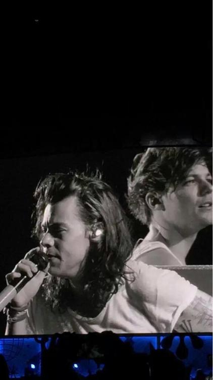 Harry and Louis on stage in Baltimore! (August 8 2015)