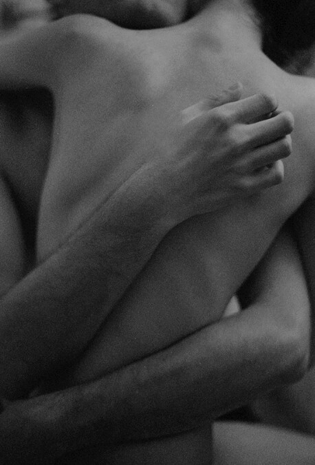 felines-fantasies:  ¤
