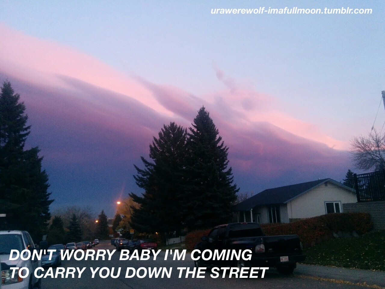 urawerewolf-imafullmoon:  the front bottoms- carry me down the street 