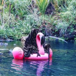 archiemcphee:  Meet The Swim Reaper, death taking an extended holiday on the beaches of New Zealand and sharing their vacation snapshots with the world on Instagram. From beach yoga in the morning:  A post shared by The Swim Reaper (@iamtheswimreaper)