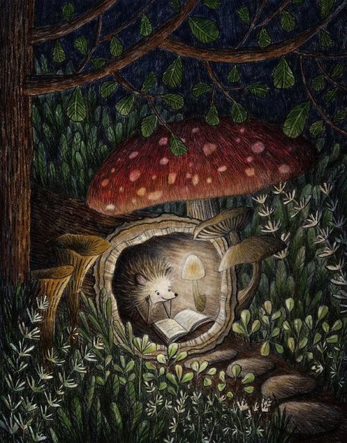 Hedgehog, by Deborah Hocking.