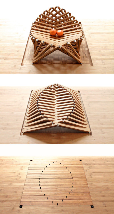 Rising Shell by Robert van EmbricqsFrom flat to fruit bowl. This is so cool. Click the source link f