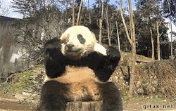 Blazepress:  When You’re So Happy About Food, You Fall Off Your Log.